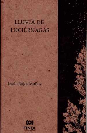 LLUVIA DE LUCIERNAGAS