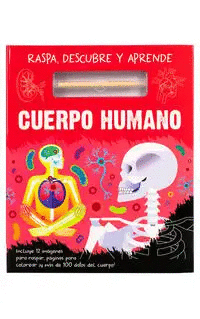 CUERPO HUMANO (PASTA DURA)