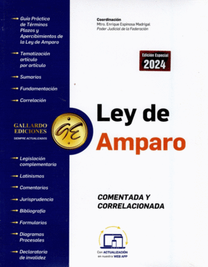 LEY DE AMPARO 2024 COMENTADA Y CORRELACIONADA