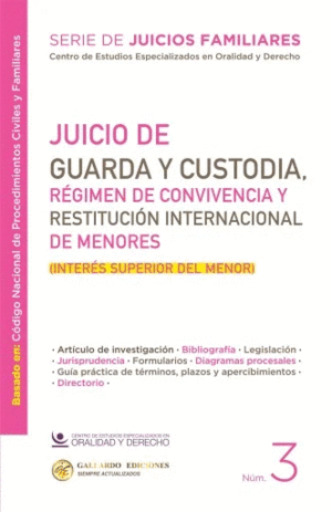 JUICIO DE GUARDA Y CUSTODIA 2025  N3