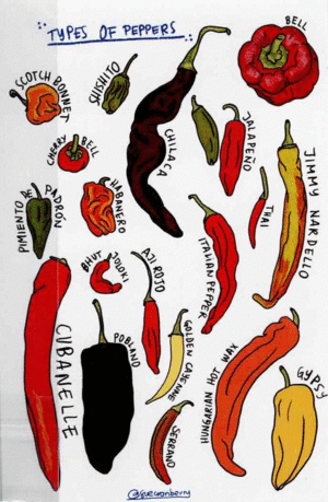 POSTAL CHILES