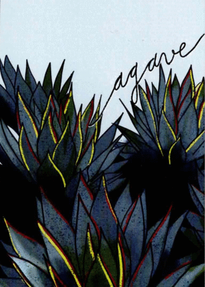 POSTAL AGAVE AZUL