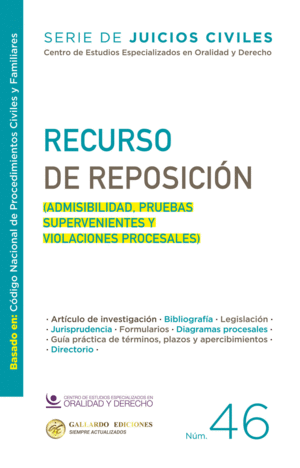 RECURSO DE REPOSICION N46