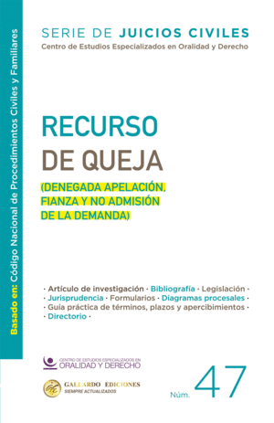 RECURSO DE QUEJA N 47