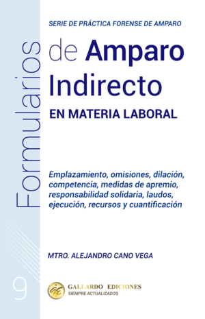 FORMULARIOS DE AMPARO INDIRECTO EN MATERIA LABORAL  N� 9