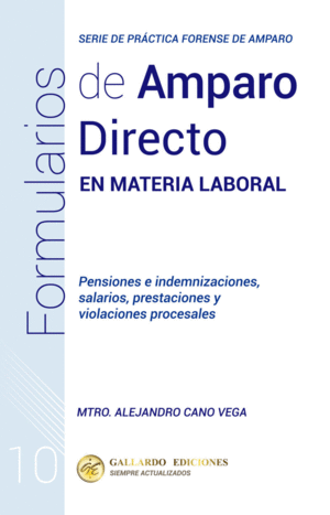 FORMULARIOS DE AMPARO DIRECTO EN MATERIA LABORAL N� 10