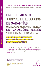 PROCEDIMIENTOS JUDICIALES DE GARANTIAS OTORGADAS MEDIANTE PRENDA SIN TRANSMISION DE POSESION Y FIDEICOMISO DE GARANTIA