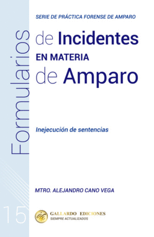 FORMULARIO DE INCIDENTES EN MATERIA DE AMPARO N�15