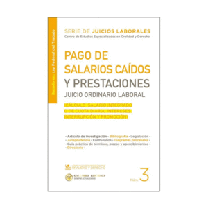 PAGO DE SALARIOS CAIDOS Y PRESTACIONES JUICIO ORDINARIO LABORAL N� 3