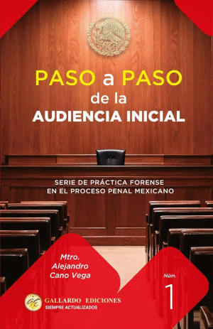 PASO A PASO DE LA AUDIENCIA INICIAL