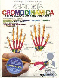 ANATOMIA CROMODINAMICA (PROMO)