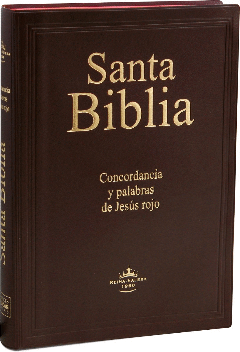 SANTA BIBLIA CONCORDANCIA Y PALABRAS DE JESUS EN ROJO (VINO ORILA ROSA)