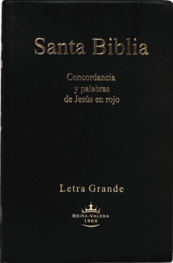 SANTA BIBLIA REINA VALERA 1960 NEGRA CONTORNO ROJO LETRA GRANDE