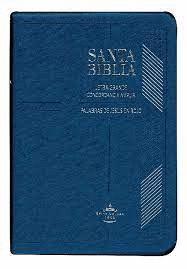 SANTA BIBLIA LETRA GRANDE CONCORDANCIA AMPLIA