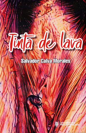 TINTA DE LAVA