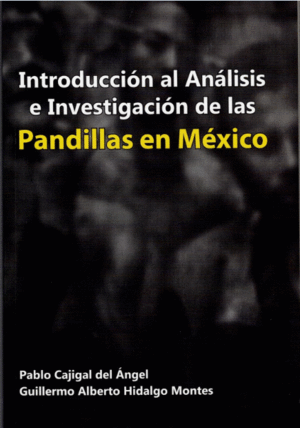 INTRODUCCION AL ANALISIS E INVESTIGACION DE LAS PANDILLAS EN MEXICO