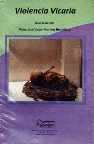 VIOLENCIA VICARIA