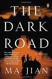 THE DARK ROAD