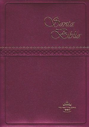 SANTA BIBLIA REINA VALERA BOLSILLO VINO/NARANJA
