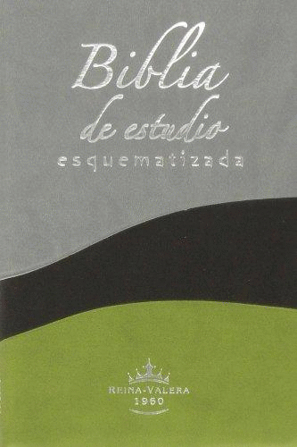 SANTA BIBLIA REINA VALERA 1960 DE ESTUDIO ESQUEMATIZADA BICOLOR ORILLA PLATA