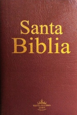 SANTA BIBLIA REINA VALERA 1960 VINO IMITACION CONTORNO ROJO