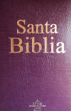 SANTA BIBLIA REINA VALERA 1960 LILA IMITACION PIEL ORILLA LILA