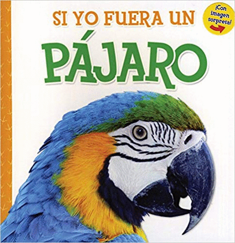 SI YO FUERA UN PAJARO (PASTA DURA)