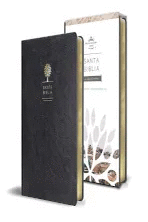 BIBLIA REINA VALERA 1960 COLOR NEGRO LETRA GRANDE TAMAO MANUAL