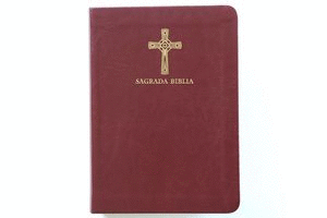 BIBLIA CATOLICA EN ESPAOL (TAMAO COMPACTO)