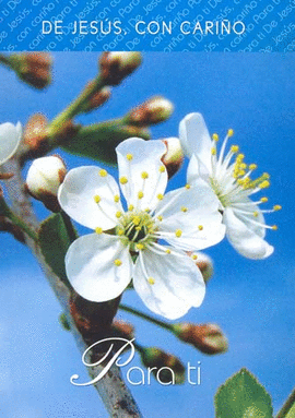 DE JESUS CON CARI�O COMPA�ERO CONSTANTE