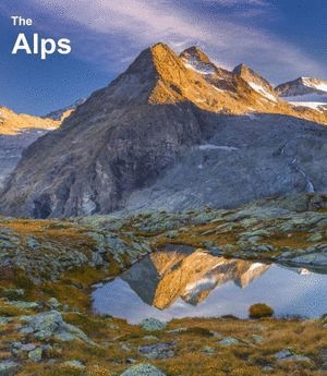 THE ALPS (PASTA DURA)