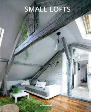 SMALL LOFTS