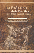 PRACTICA DE LA PRACTICA EN EL ORGANO JURISDICCIONAL LA