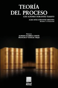 TEORIA DEL PROCESO