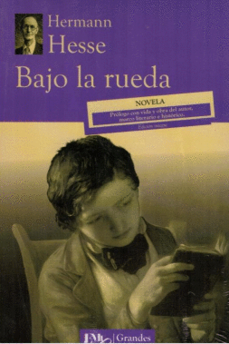 BAJO LA RUEDA