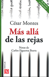 MAS ALLA DE LAS REJAS