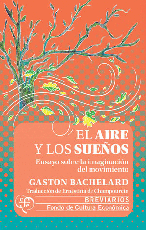EL AIRE Y LOS SUEOS