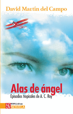 ALAS DE ANGEL
