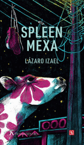 SPLEEN MEXA