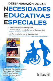 DETERMINACION DE LAS NECESIDADES EDUCATIVAS ESPECIALES