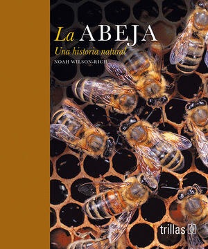 LA ABEJA