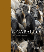 EL CABALLO