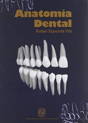 ANATOMIA DENTAL