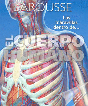 MARAVILLAS DENTRO DE EL CUERPO HUMANO LAS