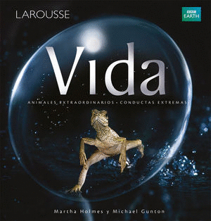 VIDA