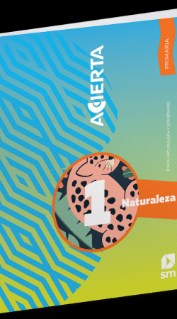 INTEGRADO 1 ACIERTA PRIMARIA