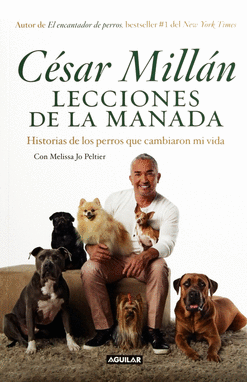 LECCIONES DE LA MANADA