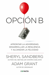 OPCION B