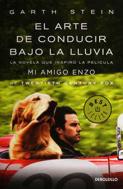 EL ARTE DE CONDUCIR BAJO LA LLUVIA