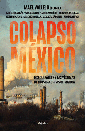 COLAPSO MEXICO